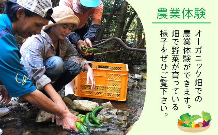 タイニーハウスねこたま宿泊（ゲストハウス）1棟貸 農業体験付き宿泊券 旅行 宿泊 パッケージ 体験  [PDS009]