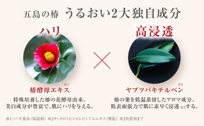 【普段のスキンケアに】椿の葉 保湿水 150ml 五島市/五島の椿 [PEG029]