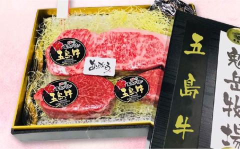 【日時指定必須】五島牛特上 サーロイン400g-500g＆ヒレステーキ120g×2枚（ソース付） 五島市/鬼岳牧場[PEK002] 国産牛 牛肉 ブランド牛 セット