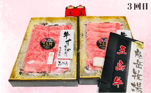 【6回定期便】五島牛タイプA（ソース付） 五島市/鬼岳牧場[PEK029] 国産牛 牛肉 ブランド牛 セット