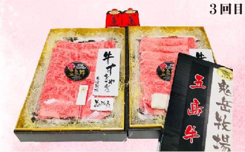 【6回定期便】五島牛タイプB（ソース付） 五島市/鬼岳牧場[PEK030]