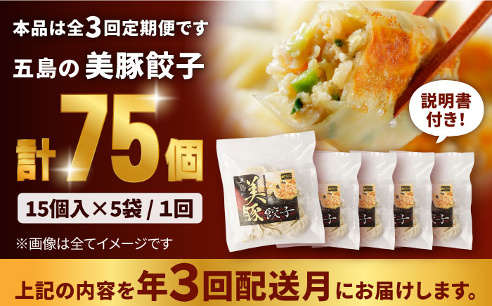 【3回定期便】美豚餃子75個（15個×5袋） 五島市/長崎フードサービス[PEL006]  冷凍 餃子 飲茶 中華 ぎょうざ ギョウザ