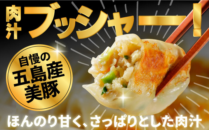 【12回定期便】美豚餃子150個（15個×10袋） 五島市/長崎フードサービス[PEL024]  冷凍 餃子 中華 ぎょうざ ギョウザ