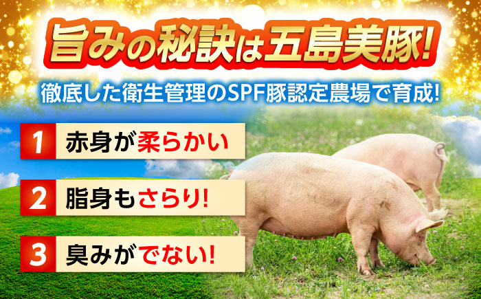 7日程度発送）五島美豚プレミアムハンバーグ5個 五島市/長崎フードサービス[PEL037]  ハンバーグ 手作り 手ごね 冷凍 肉 豚 豚肉 国産 スピード 最短 最速 発送