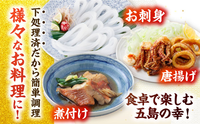 【冷蔵】【下処理済】鮮魚ボックス（魚3種/アオリイカ/魚醤油2種） 五島市/金沢鮮魚[PEP003]   冷蔵 真空パック 新鮮 下処理済み 海鮮 刺身 セット 水いか イカ 魚 鮮魚 おさしみ 刺し身 刺身 さしみ いか 醤油 金澤仕立て  鮮魚 冷蔵 真空パック 新鮮 下処理済み 海鮮 刺身 セット 水いか