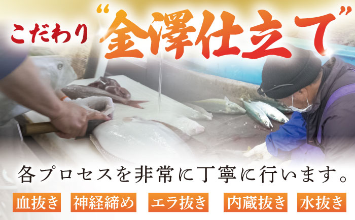 【下処理済】超速冷凍鮮魚5種 五島市 / 金沢鮮魚[PEP018]  柵 冷蔵 真空パック 新鮮 下処理済み 海鮮 刺身 セット さしみ お刺身 おさしみ お刺し身 鮮魚 魚魚 鮮魚 鮮魚ボックス