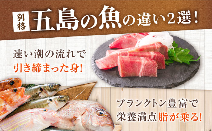 【12回定期便】【超速冷凍】旬魚のゴトポキ5袋 五島市/金沢鮮魚[PEP028]セット