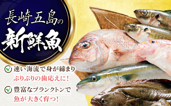 【12回定期便】旬魚の酒粕漬け5袋 ※魚種は旬の魚をおまかせ 五島市/金沢鮮魚[PEP040]