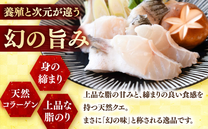 【3回定期便】クエ鍋用クエパック500g×2 五島市/金沢鮮魚[PEP050]クエ くえ 鍋 お鍋 冬 高級 贅沢