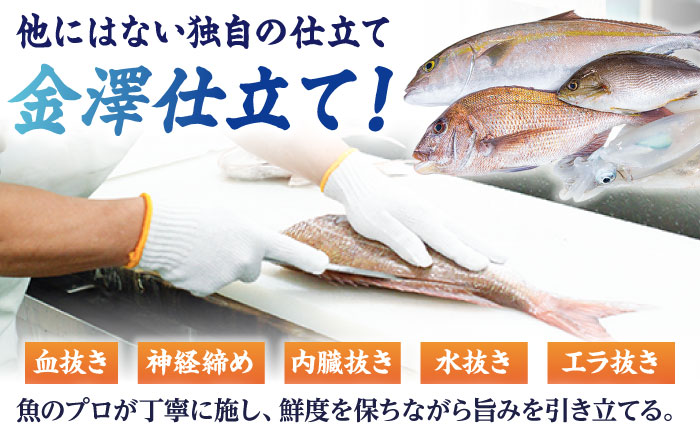 【3回定期便】【下処理済】超速冷凍鮮魚7種（5種+焼物用2種）五島市/金沢鮮魚[PEP069]