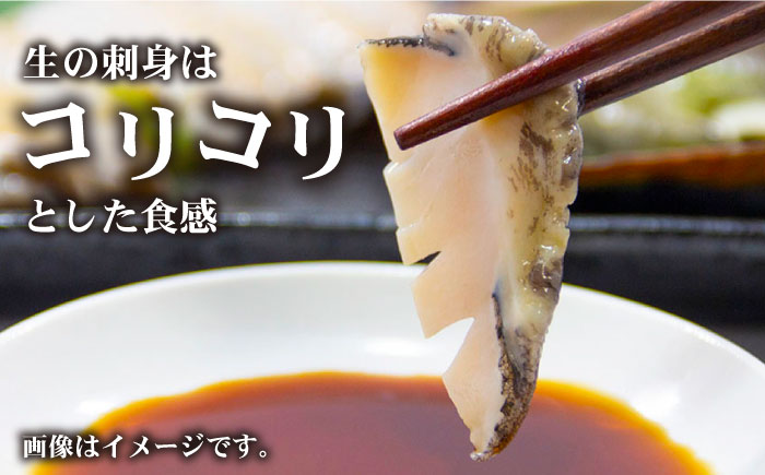 【日付指定必須】【エリア限定】【数量限定】五島産養殖活アワビ6個 小サイズ あわび 鮑 五島市/都工業 [PEX002]