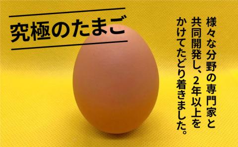 【黄身がつかめる！ブランド卵】TOCO-tori EGG おうち贅沢ボックス 卵 20個入 高級卵 たまご 五島市 / 五島列島大石養鶏場 [PFQ002]