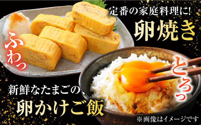 【全10回定期便】【ギフトBOX】平飼たまご ファイブエッグ M～Lサイズ 20個入 / 5EGG 卵 赤玉子 五島市 / 五島列島大石養鶏場 [PFQ028]