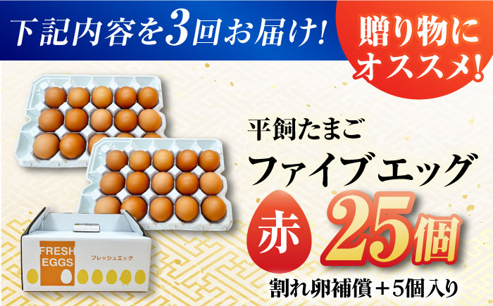 【3回定期便】【箱入り】平飼たまご ファイブエッグ M～Lサイズ 25個 / 5EGG 卵 赤玉子 五島市 / 五島列島大石養鶏場 [PFQ039]