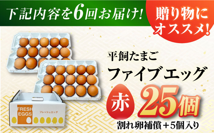 【6回定期便】【箱入り】平飼たまご ファイブエッグ M～Lサイズ 25個 / 5EGG 卵 赤玉子 五島市 / 五島列島大石養鶏場 [PFQ040]