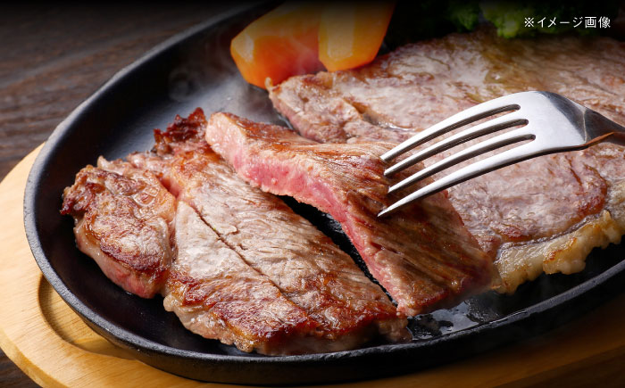 【全12回定期便】五島列島産 黒毛和牛 サーロインステーキ 250g×2枚 五島市/山口Farm [PGJ020]