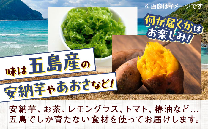 【全3回定期便】まぼろし椿（マドレーヌ）8個入り 五島市/uncalin [PGK010]