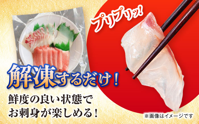 【全3回定期便】漁師の極み刺身パック（粋）1皿 五島市/Sun Sea Go Company 魚 おまかせ お任せ 鮮魚 五島列島 [PGL018]