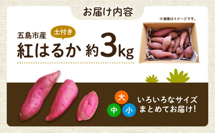 【2025年10月より発送】島の元気なさつまいも!ねっとり甘い『紅はるか』3kg 五島市/あわたに農園 [PGO001]