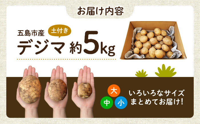 【2025年12月より発送】島の元気なじゃがいも!旨味抜群の『デジマ』5kg 五島市/あわたに農園 [PGO004]
