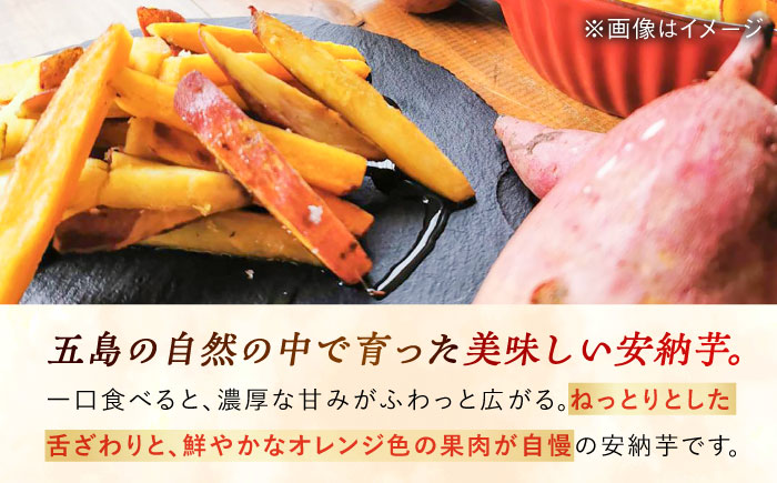 潮風と火山灰土が育てた島さつまいも『安納芋』5kg 五島市/あわたに農園 [PGO006]