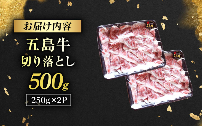 五島牛 切り落とし 500g（250g×2p） 五島市/五島牛 肉のむらおか [PGP005]