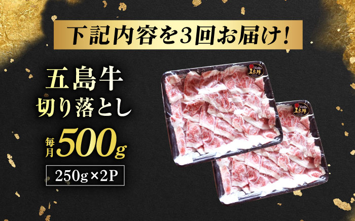 【3回定期便】五島牛 切り落とし 500g（250g×2p） 五島市/五島牛 肉のむらおか [PGP006]