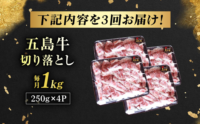 【3回定期便】五島牛 切り落とし 1kg 五島市/五島牛 肉のむらおか [PGP010]