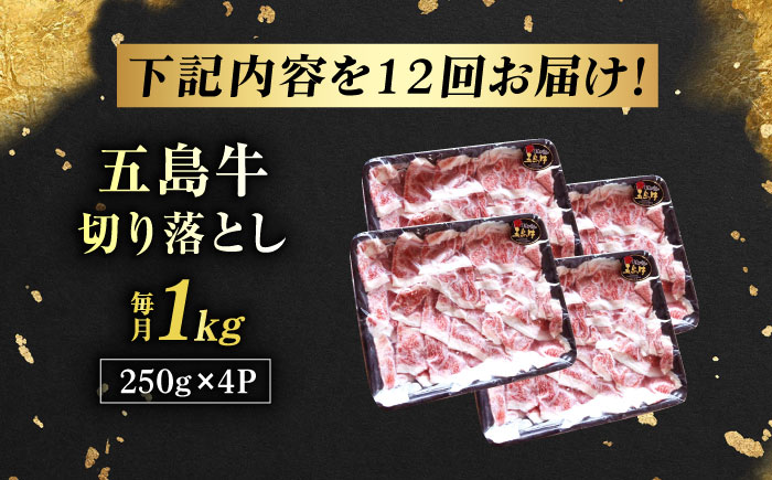 【12回定期便】五島牛 切り落とし 1kg 五島市/五島牛 肉のむらおか [PGP012]