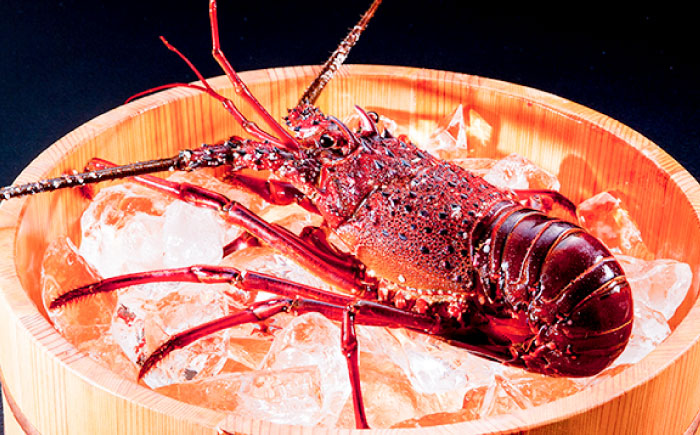 伊勢海老(活き) 500g　五島市/真栄丸 [PGR002]