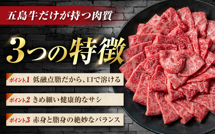 五島牛 切り落とし 1kg（200g×5P）五島市/meat shop FUKU [PHF017]