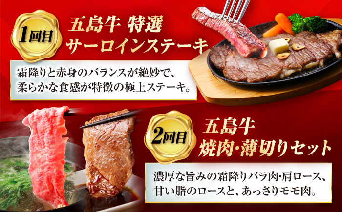 【6回定期便】大満足！五島牛 ファミリー特撰コース 五島市/五島市ふるさと納税 [PZX029]