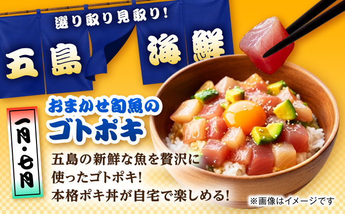 【12回定期便】五島のお魚！満喫定期便（2人前）/五島市 [PZX054]