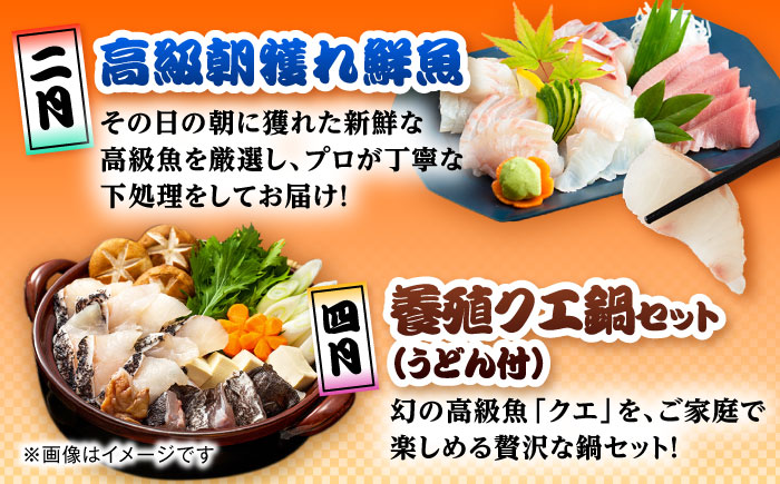 【6回定期便】五島のお魚！満喫定期便（4人前）/五島市 [PZX055]