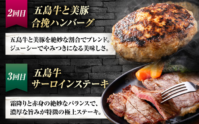 【6回定期便】お届け内容が毎月変わる五島牛定期便（2名向け）五島市/ごとう農業協同組合 [PAF103]