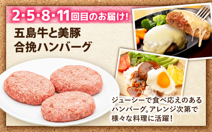 【12回定期便】食卓応援！お届け内容が毎月変わる五島牛定期便 五島市/ごとう農業協同組合 [PAF107]