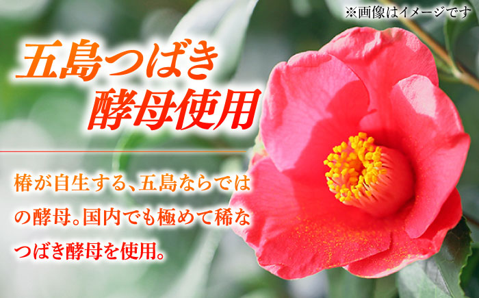 7日程度発送）スパークリングワイン ナイアガラ2024 マスカット ぶどう 家飲み 酒 お酒 ワイン 五島市/五島ワイナリー [PAG032] スピード 年内発送 最短 最速 発送