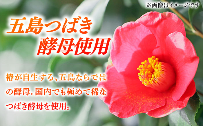 7日程度発送）五島ワイン ルージュ リザーヴ（赤）2024　お酒 ワイン　ぶどう 家飲み 酒 五島市/五島ワイナリー [PAG037] スピード 年内発送 最短 最速 発送