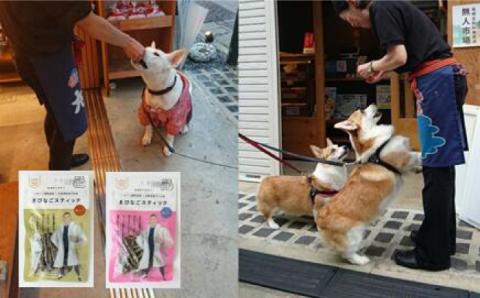 7日程度発送）【ペットフード】きびなごスティック16袋（生干し8袋/蒸干し8袋） 五島市/浜口水産[PAI008] 犬 おやつ 国産 きびなご キビナゴ 干物 魚 煮干し にぼし 健康 カルシウム いぬ スピード 最短 最速 発送詰合せ ドックフード ペットフード