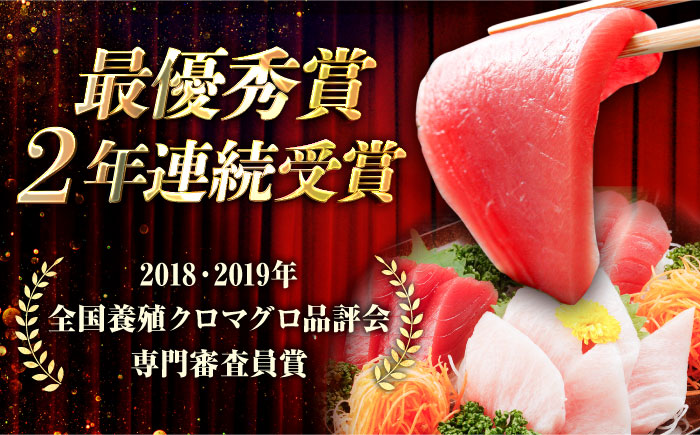 【冷蔵】長崎県五島産 近大マグロ約500g （大トロ/中トロ/赤身） 五島市/五島ヤマフ[PAK010]マグロ
