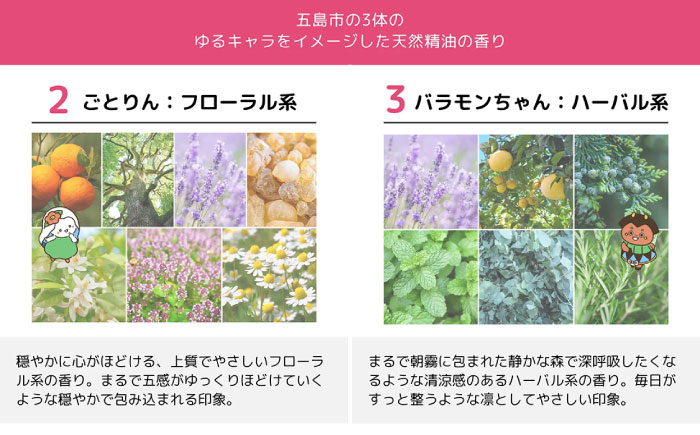 【12回定期便】リップクリーム3本セット 五島市/合資会社椿乃[PAM056]