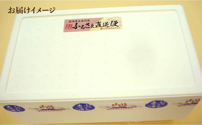 【12回定期便】五島列島 きびなご一夜干し1.3kg（130g×10袋） 五島市/奈留町漁業協同組合[PAT010]  きびなご 干物 干物セット 人気 魚 ひもの 冷凍 ギフト 大容量 定期便