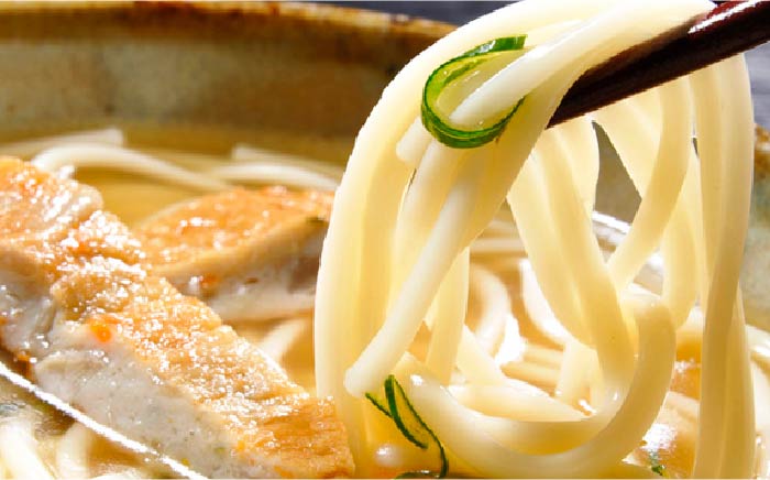 【全12回定期便】練ト麺 (ねりとめん) 五島うどん 練り物 計108点 かまぼこ うどん 【しまおう】 [PAY030]