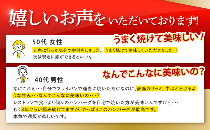 五島牛 ハンバーグ2種 8個（各4個） 五島市/ニク勝[PBF005]ハンバーグ