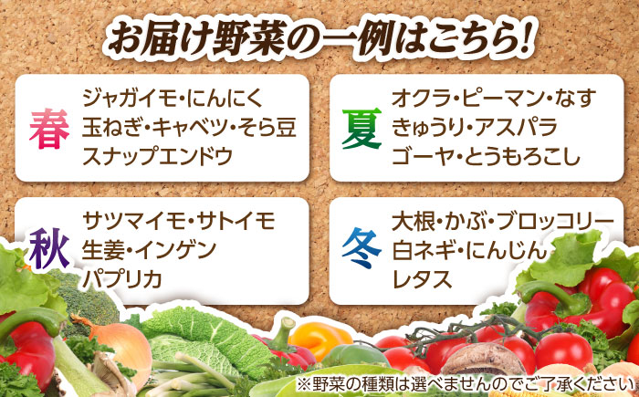 【全4回定期便】旬の野菜セット（7-10品目10kg未満）野菜 やさい 詰め合わせ セット五島市/やぁしゃ便 [PBG002]