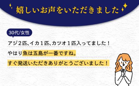 旬の地魚セット2kg（エラ/内臓処理済） 五島市/五島FF[PBJ010]