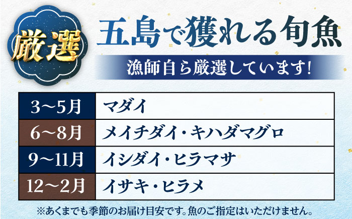【五島列島産】高級朝獲れ鮮魚 約2.5kg（真空パック/下処理済） 五島市/マルセイ水産[PBT002]鮮魚