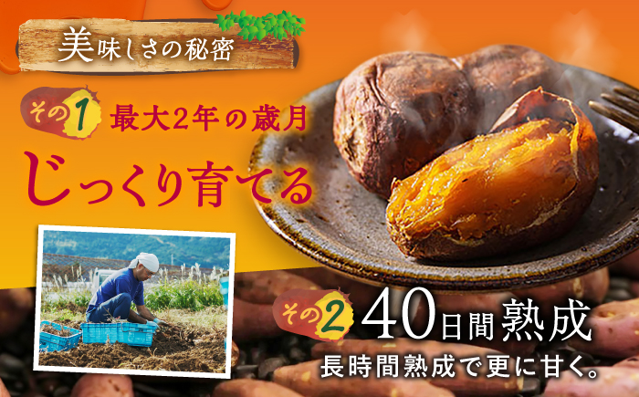 7日程度発送）【3年連続日本一】焼き芋 ごと芋 300g×6袋 五島市/ごと[PBY003]焼き芋レンジで簡単 サツマイモ おやつ 小分け 芋 さつまいも スイーツ 冷凍 野菜 レンジ
