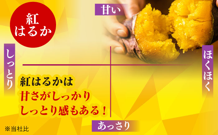 7日程度発送）焼き芋 ごとあかり（紅はるか）300g×6袋五島市/ごと[PBY024]  冷凍 焼き芋 レンジ さつまいも 紅はるか やきいも ねっとり おやつ スイーツ 甘い 長崎 五島市 スピード 最短 最速 発送レンジで簡単 サツマイモ おやつ 小分け さつまいも 芋