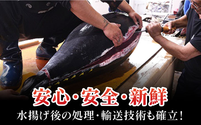 本マグロブロック詰合せ600g（養殖）五島市/奥浦海鮮直売所[PCL012]  柵 刺身 マグロ まぐろ 鮪 さしみ とろ トロ 刺し身 冷凍 魚 鮮魚 刺身柵